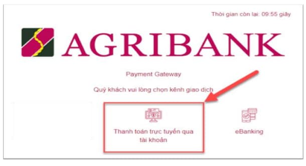 + Điều kiện sử dụng: Tài khoản thanh toán tại Agribank của Quý khách đã đăng ký sử dụng dịch vụ Thương mại điện tử (Ecommerce).’