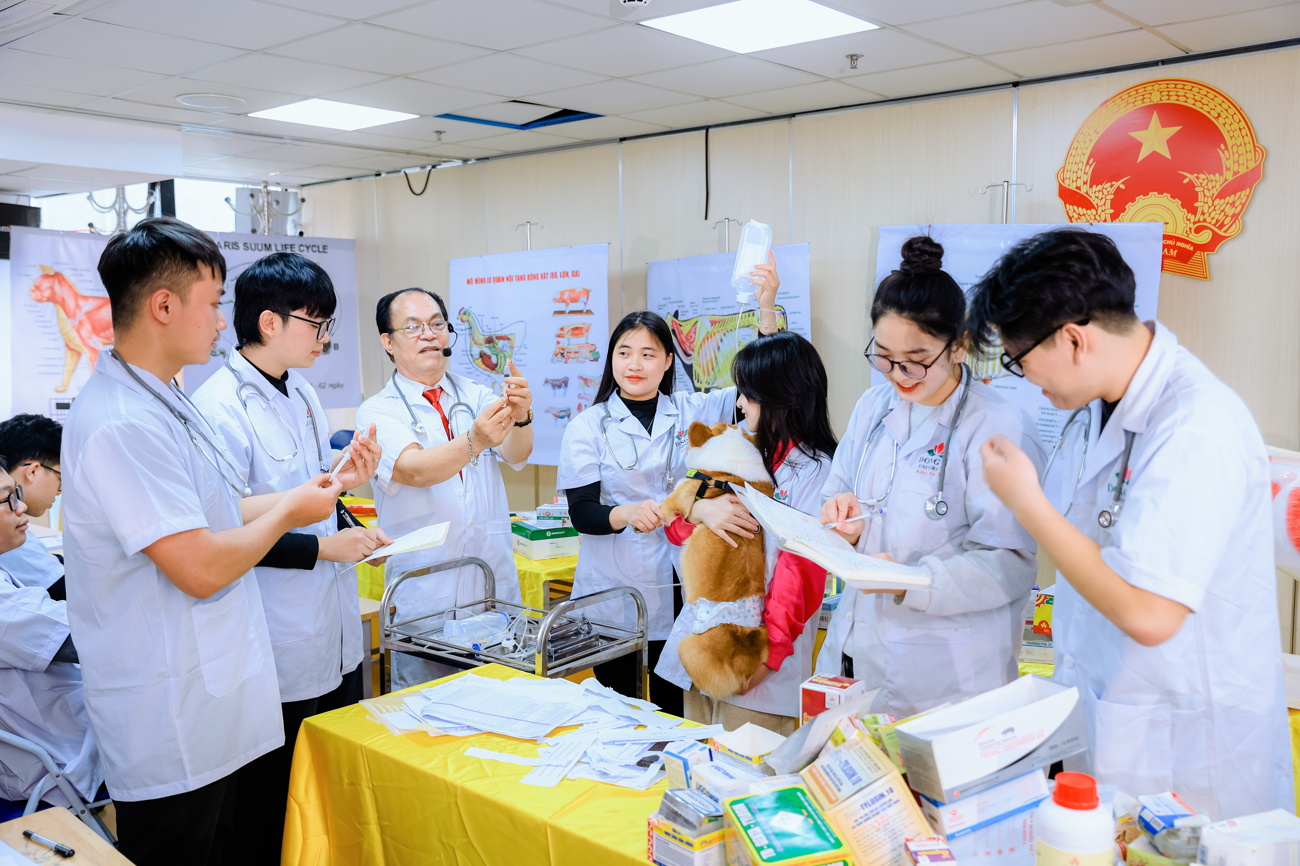 Giới thiệu ngành Thú y